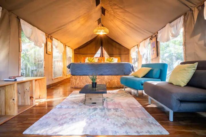 Curiol Boutique Hotel & Lounge ポトレロ エクステリア 写真