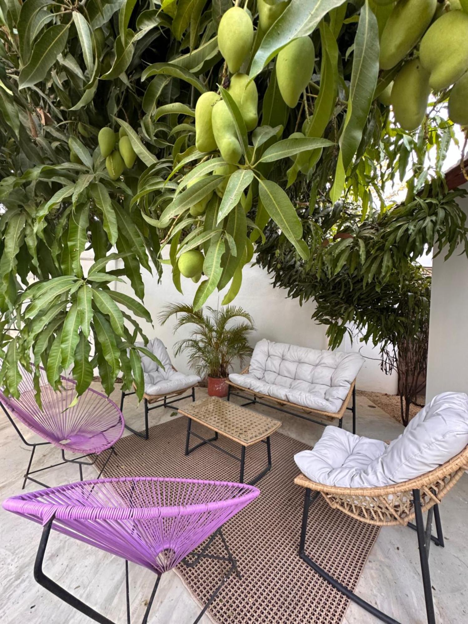 Curiol Boutique Hotel & Lounge ポトレロ エクステリア 写真